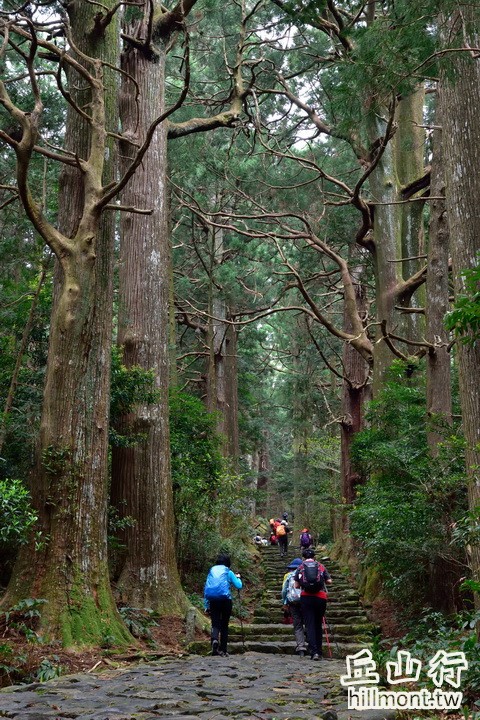 世界遺產 日本熊野古道深度健行7天 丘山行