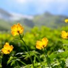 【白馬鹿島槍】日本後立山連峰縱走 7天：圖片 3