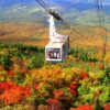 【最美溪流】日本青森奧入瀨紅葉健行 6天：圖片 10