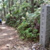 【信仰之道】日本熊野古道深度健行 7天：圖片 11