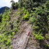 【谷關七雄】白毛山＋馬崙山 2天：圖片 2