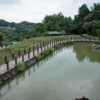 【台北大縱走】第七段：政大飛龍步道－貓空－指南宮 1天
