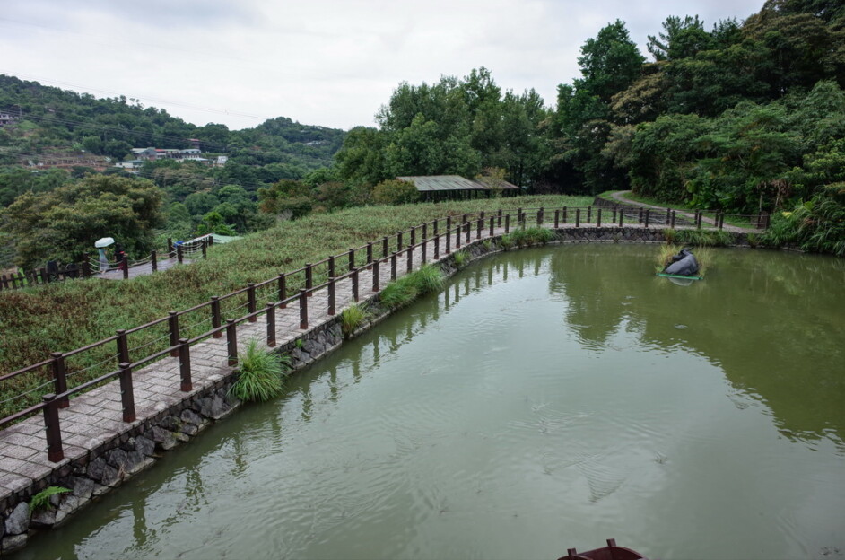 【台北大縱走】第七段：政大飛龍步道－貓空－指南宮 1天