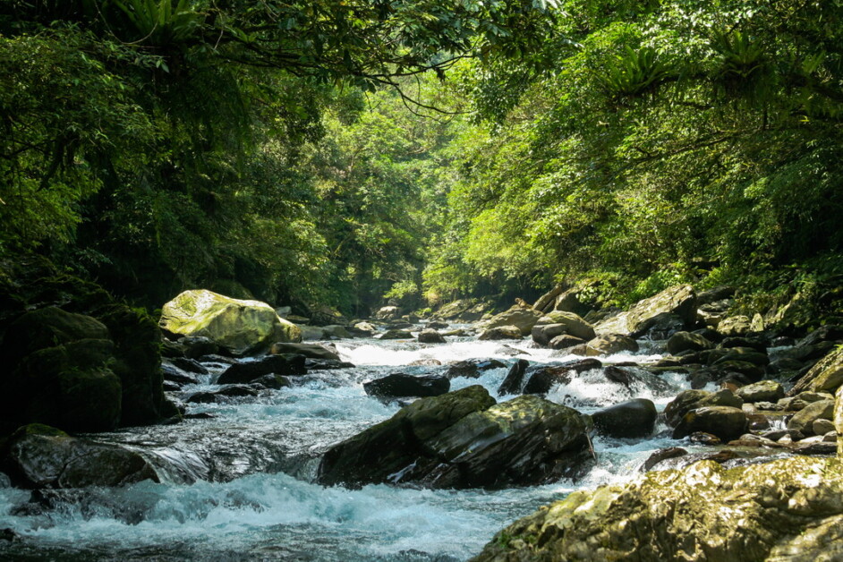 【蜻蜓石民宿】桶後越嶺+淡蘭跑馬古道 2天