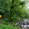 【蜻蜓石民宿】桶後越嶺+淡蘭跑馬古道 2天：圖片 2