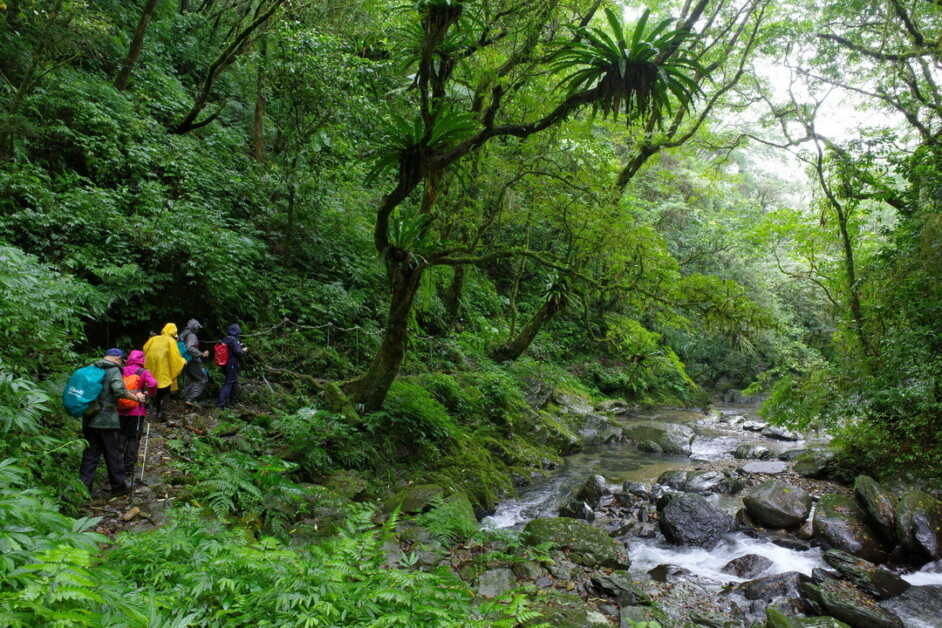 【蜻蜓石民宿】桶後越嶺+淡蘭跑馬古道 2天：圖片 2