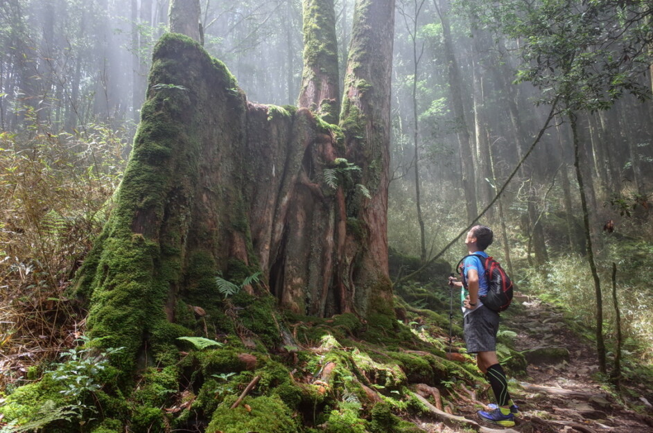 【谷關七雄】八仙山+世紀水道白冷圳 2天