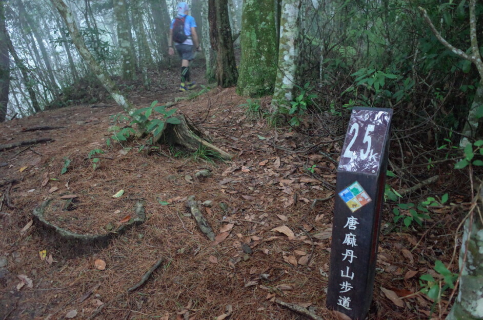 【谷關七雄】屋我尾山-唐麻丹山+蝴蝶谷瀑布 2天：圖片 4