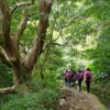 【藍寶石泉】陽明山湧泉秘境健行+玉瀧谷野菜料理 1天：圖片 4