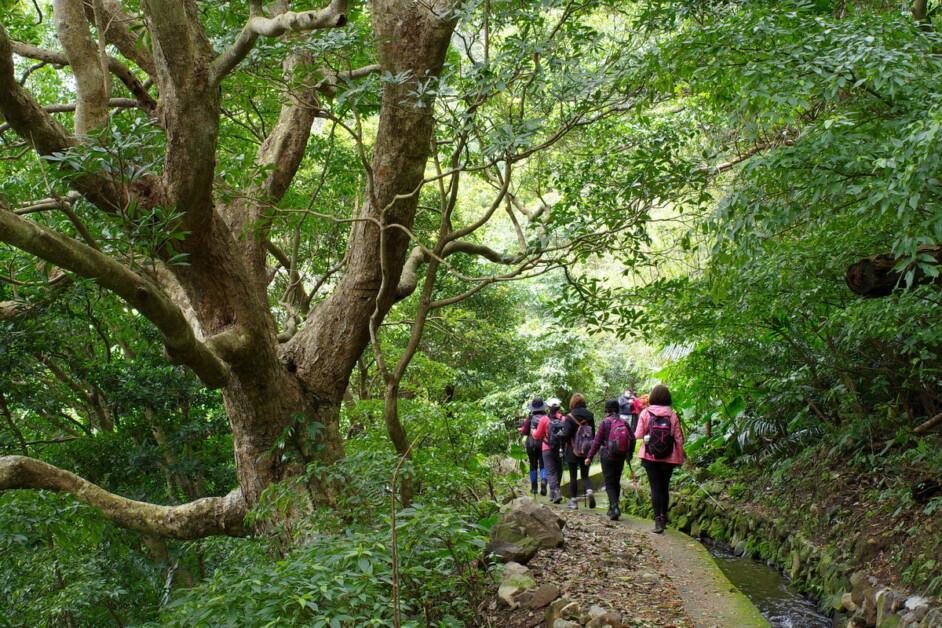 【藍寶石泉】陽明山湧泉秘境健行+玉瀧谷野菜料理 1天：圖片 4