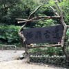 【藍寶石泉】陽明山湧泉秘境健行+玉瀧谷野菜料理 1天：圖片 5