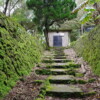 【藍寶石泉】陽明山湧泉秘境健行+玉瀧谷野菜料理 1天：圖片 6