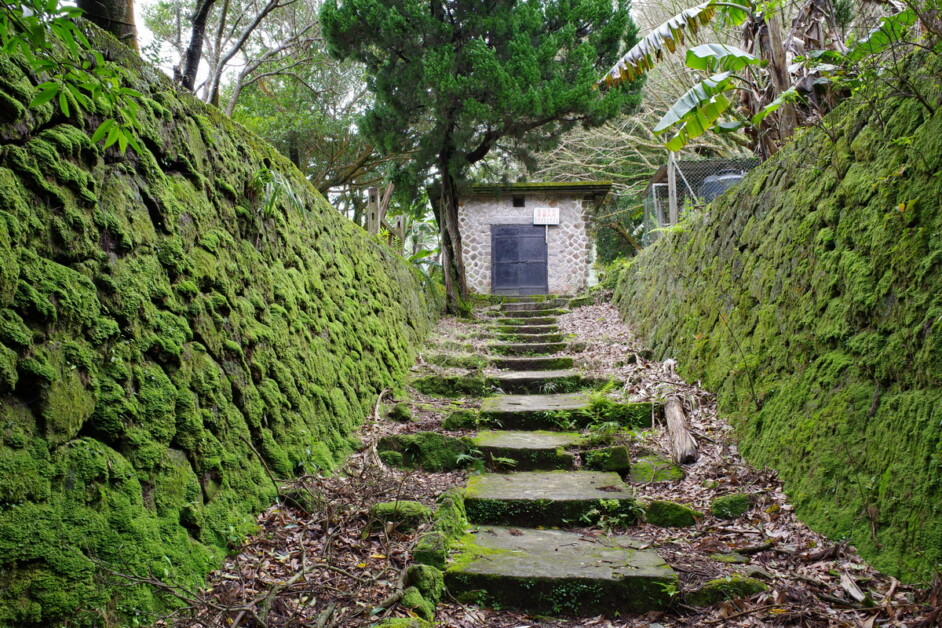 【藍寶石泉】陽明山湧泉秘境健行+玉瀧谷野菜料理 1天：圖片 6