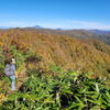【白神山地】日本東北-世界遺產紅葉健行 7天：圖片 6