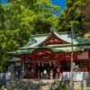 【東海楓情】日本伊豆天城山紅葉之旅 5天：圖片 11