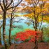 【東海楓情】日本伊豆天城山紅葉之旅 5天：圖片 3