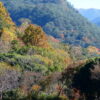 【楓紅森林】奧萬大遊樂區+武界秘境輕健行 3天：圖片 4