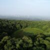 【韓國最高】濟州島漢拏山登頂賞花 5天：圖片 9