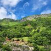 【韓國最高】濟州島漢拏山登頂賞花 5天：圖片 6