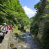 【深度東北】日本宮城偶來步道+栗駒山健行 5天：圖片 3