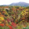 【神之地毯】日本宮城偶來步道+栗駒山紅葉健行 5天：圖片 2