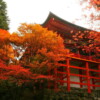 【北陸探秘】日本福井琵琶湖賞楓之旅 6天：圖片 13
