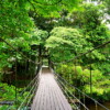 【別有洞天】婆羅洲汶萊+馬來西亞姆魯國家公園 7天：圖片 5