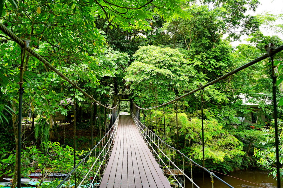 【別有洞天】婆羅洲汶萊+馬來西亞姆魯國家公園 7天：圖片 5
