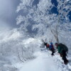 【千疊敷飯店】日本木曾駒岳豪華雪訓 5天：圖片 6