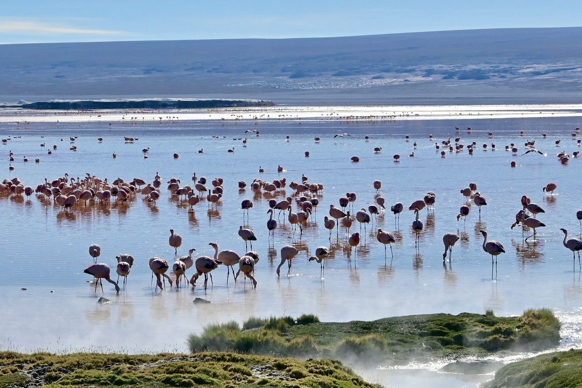 【南美三國】智利阿根廷-巴塔哥尼亞 W Trek 健行+玻利維亞-天空之鏡 22天:圖片 14