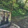 【古道楓情】霞喀羅賞楓+內灣馬胎古道 2天：圖片 3