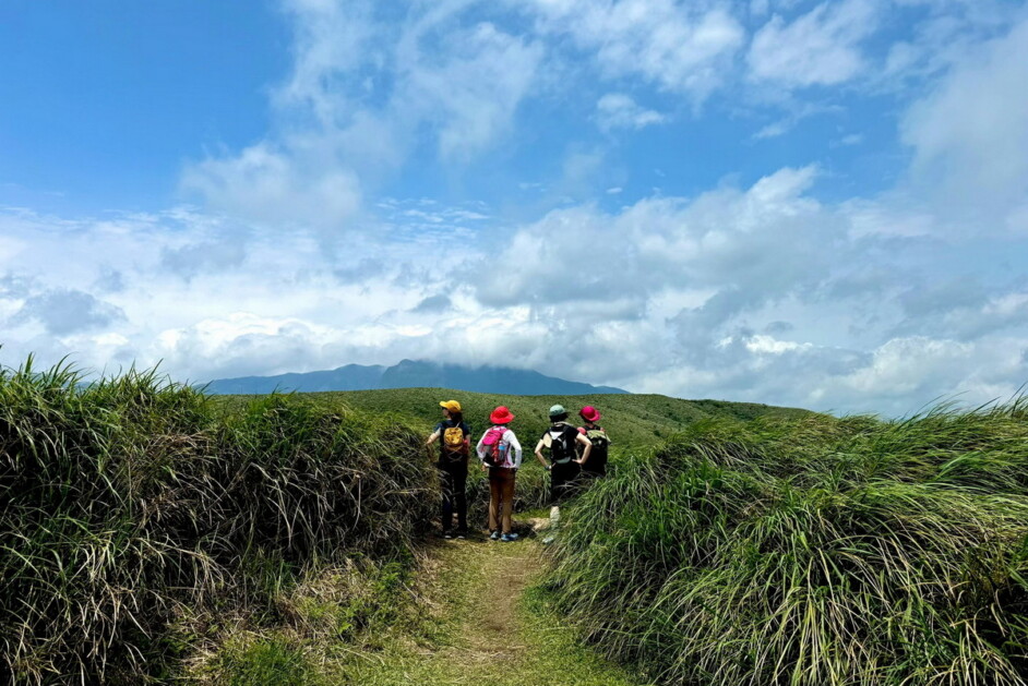【陽明山祕境】磺嘴山生態保護區健行 1天：圖片 2