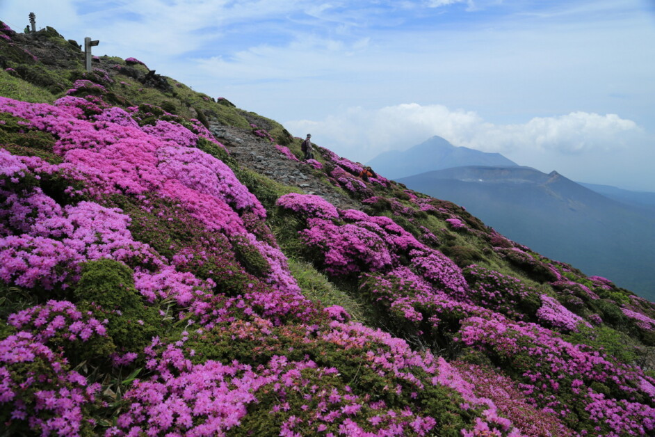 【降臨傳說】日本南九州百名山之旅 5天：圖片 3