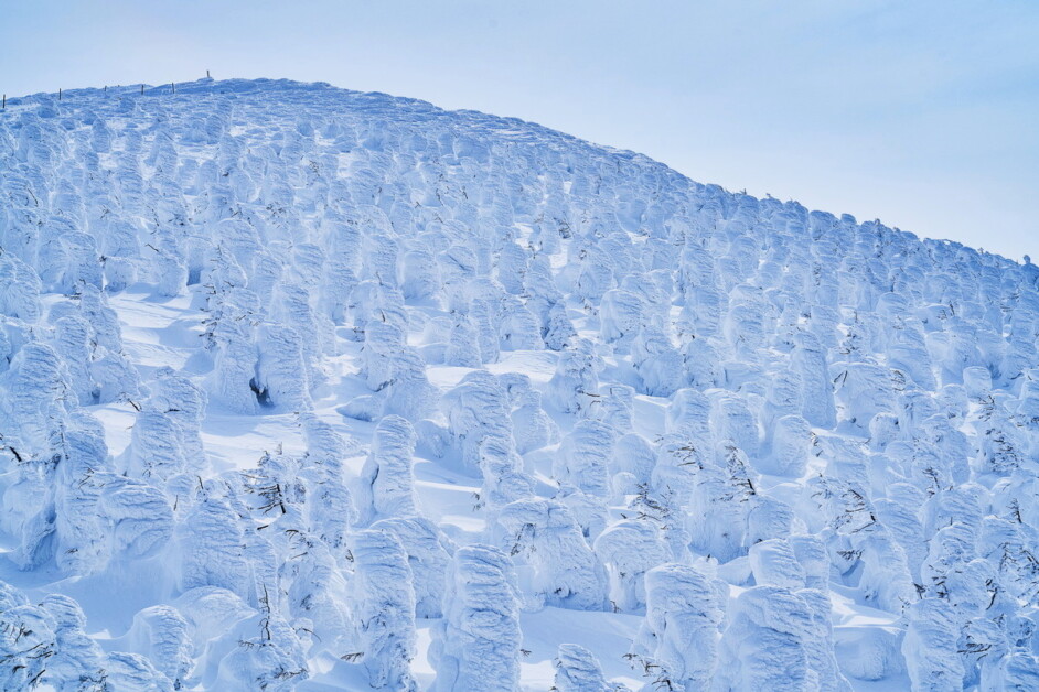 【冬山絕景】日本山形雪地健行 5天
