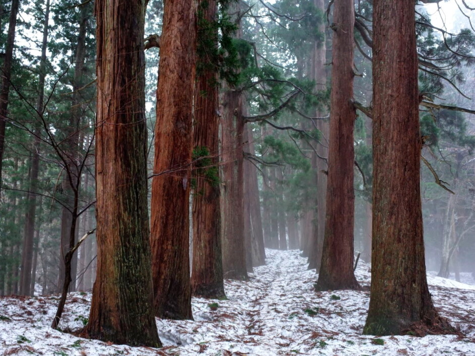 【冬山絕景】日本山形雪地健行 5天：圖片 4