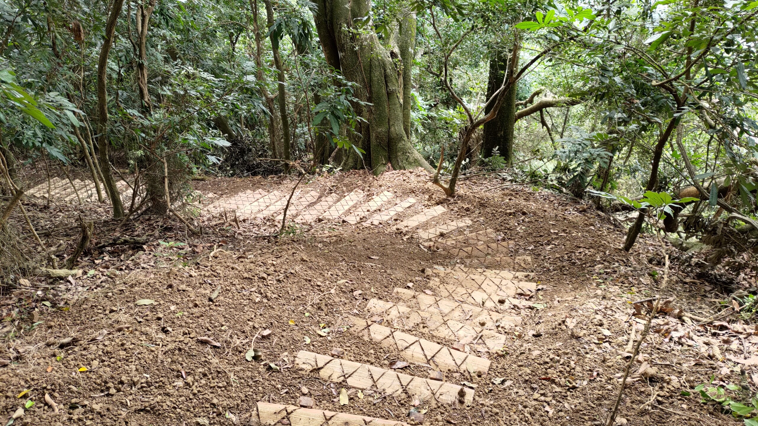 【國家綠道】山海圳原鄉之路+烏山嶺水利古道 3天:圖片 8