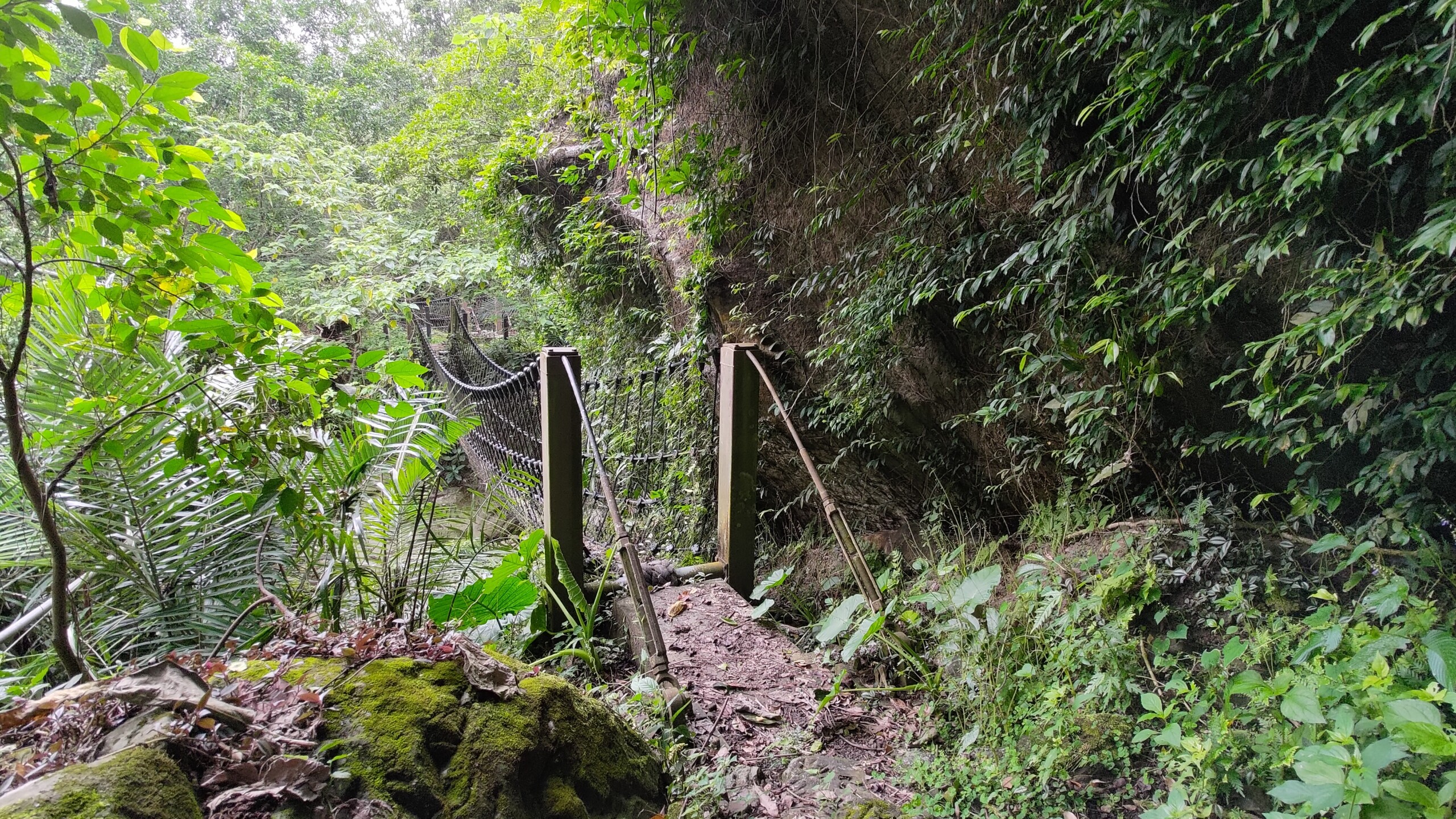 【國家綠道】山海圳原鄉之路+烏山嶺水利古道 3天:圖片 4