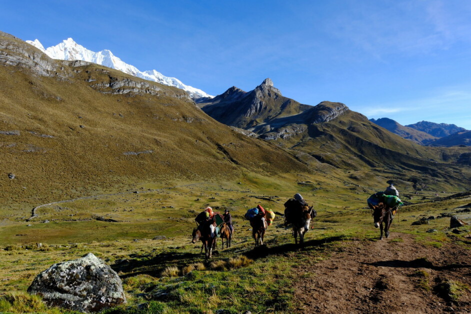 【南美屋脊】哥倫比亞秘魯-安地斯山健行之旅 21天：圖片 8