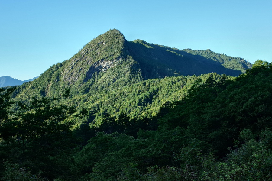【漫步觀霧】雪霸農場+檜山巨木+榛山步道健行 3天:圖片 7