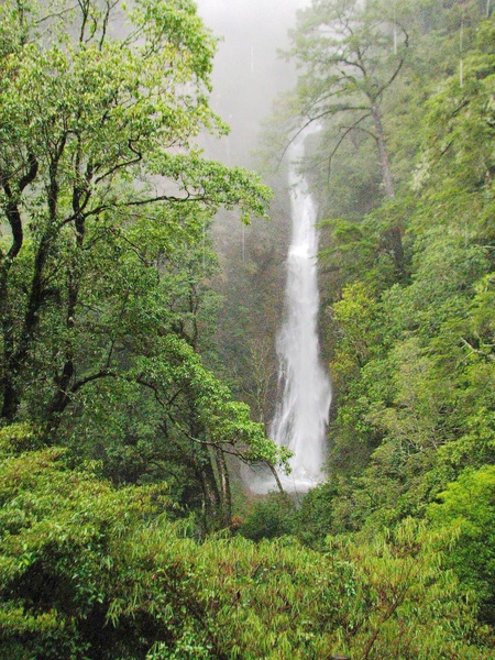 【漫步觀霧】雪霸農場+檜山巨木+榛山步道健行 3天:圖片 4